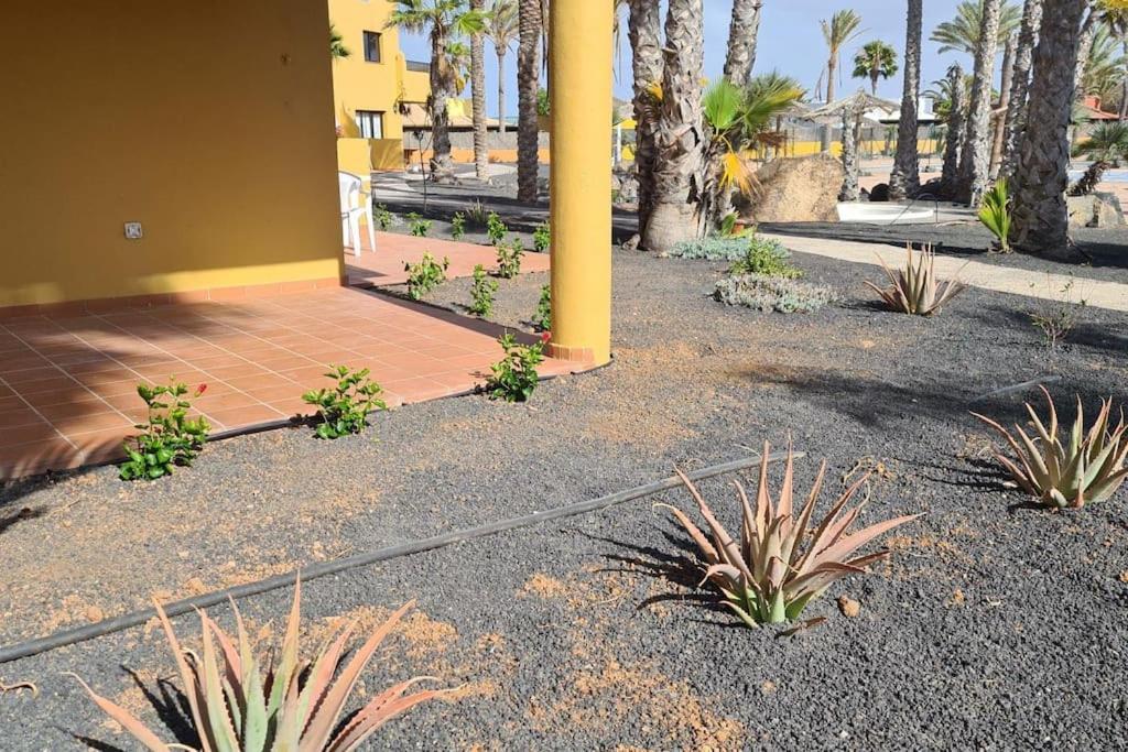 Apartmán Beautiful Garden Flat Nearly Refurbished Free Wifi Corralejo Exteriér fotografie